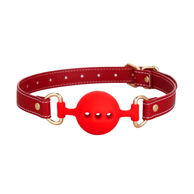 BDSM 11PCS - 11-teiliges Leder-Fesselset