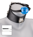 Ballknebel mit Bondage-Halsband