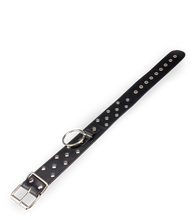 Laden Sie das Bild in den Galerie-Viewer, BDSM-Halsband mit Flachnieten, O-Ring und Leine