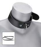 BDSM-Halsband und -Leine