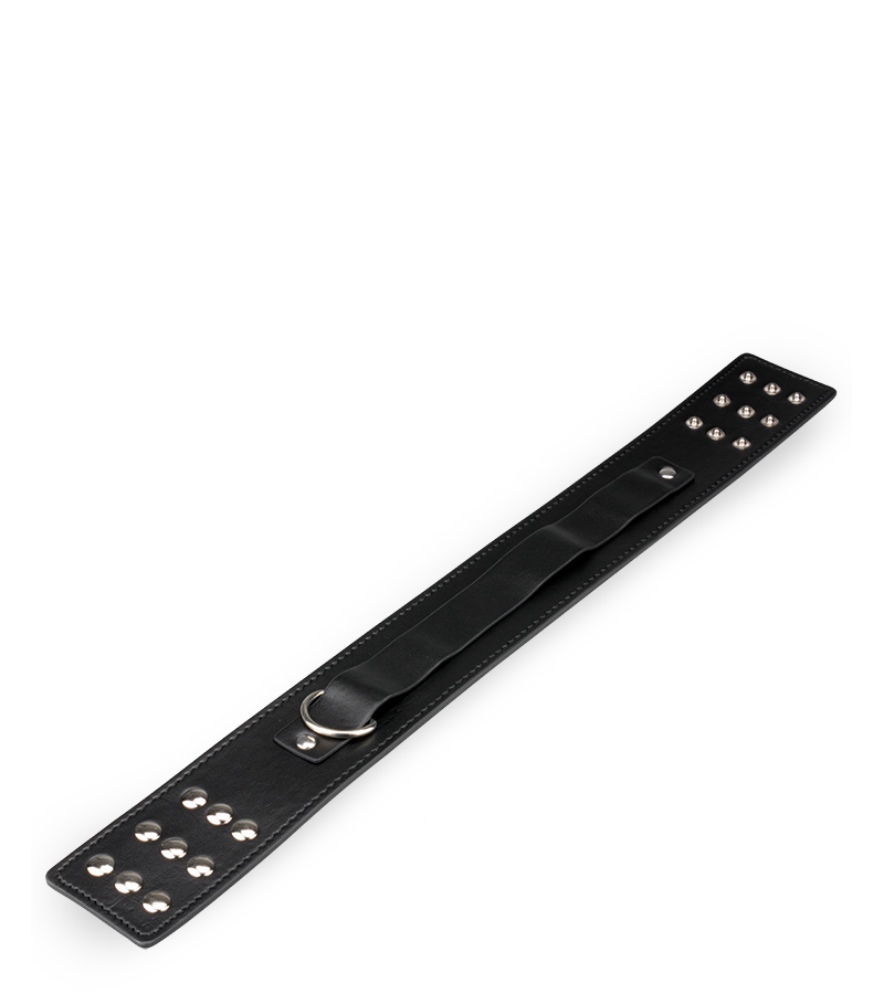 BDSM-Halsfessel mit Leine