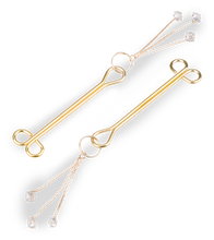 Laden Sie das Bild in den Galerie-Viewer, BDSM-Nippelklemmen Sprinkles