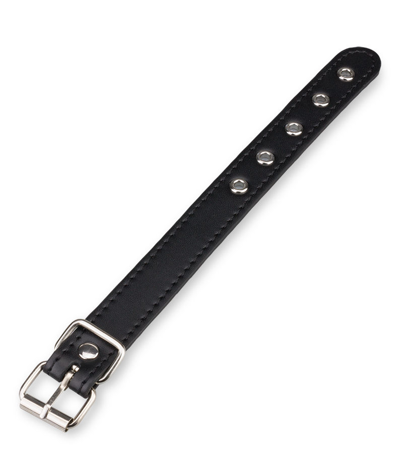 BDSM-Penisleine aus Leder