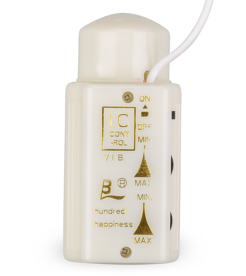 Dildo-Vibrator mit Rotationsfunktion