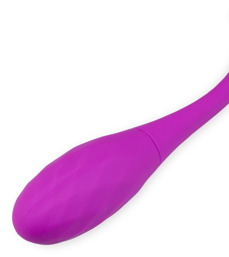 Doppel-Vibroei Bulbi