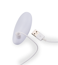 Laden Sie das Bild in den Galerie-Viewer, Ferngesteuerter Paarvibrator Danny