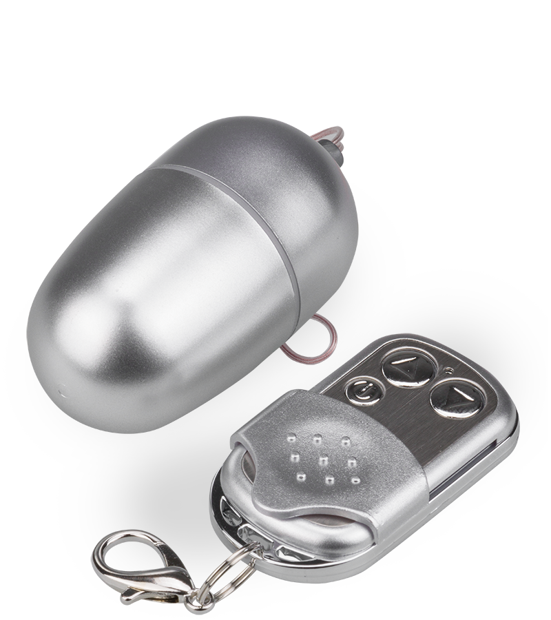 Ferngesteuertes Vibro-Ei