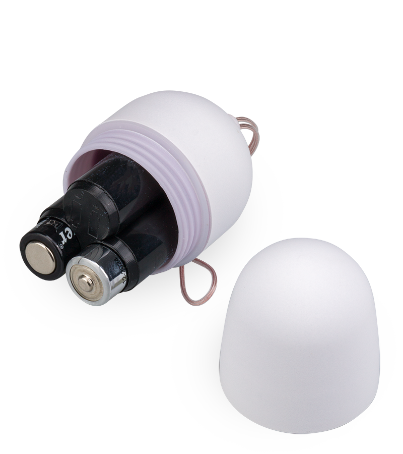 Ferngesteuertes Vibro-Ei