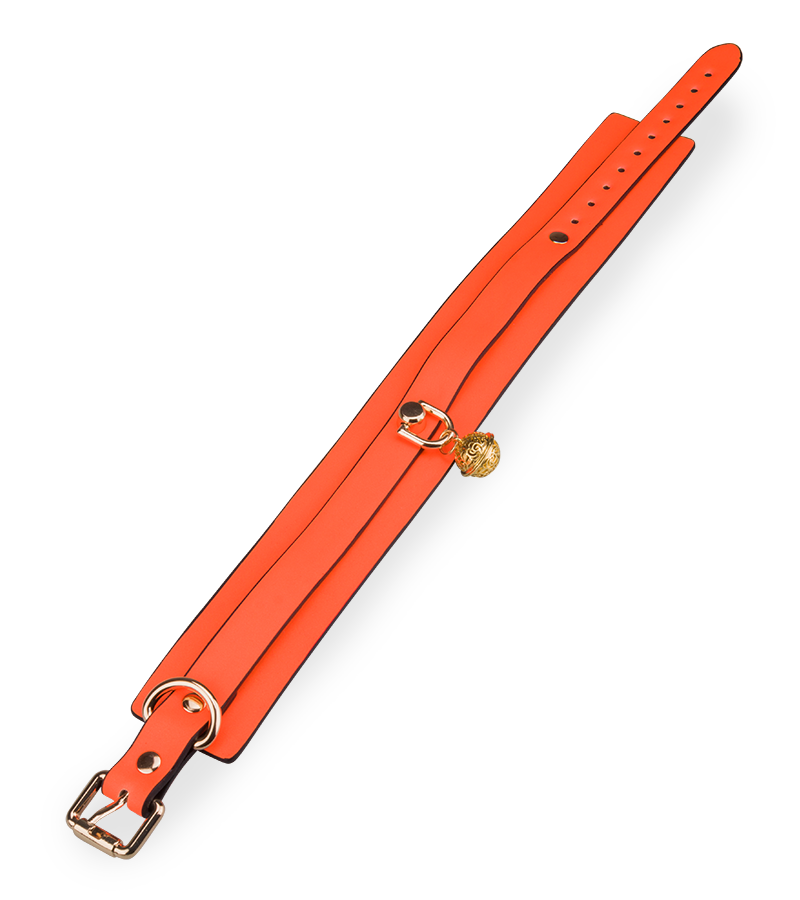 Fluoreszierendes Halsband mit Leine in Orange