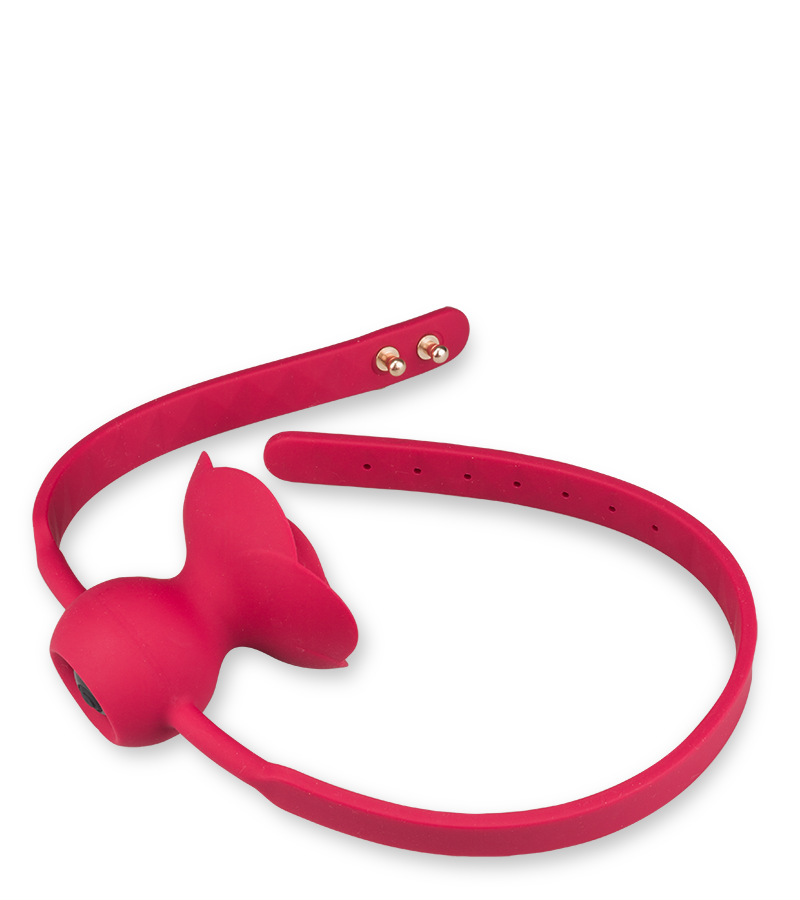 Gagball mit Vibration Rosie