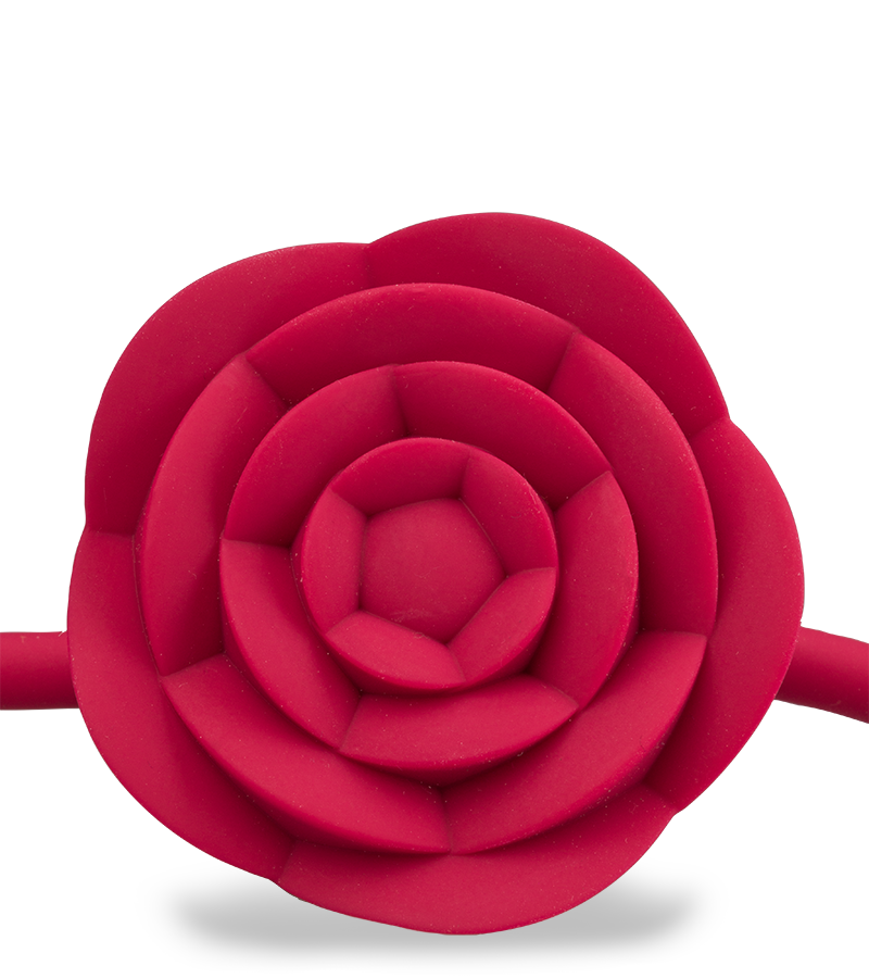 Gagball mit Vibration Rosie