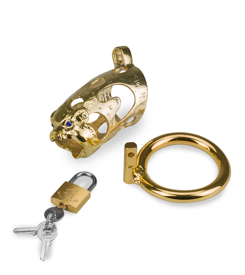 Goldfarbener Keuschheitsgürtel chinesische Astrologie Schwein