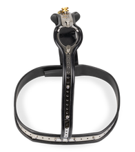 Laden Sie das Bild in den Galerie-Viewer, Keuschheitsgürtel für Frauen Stucked