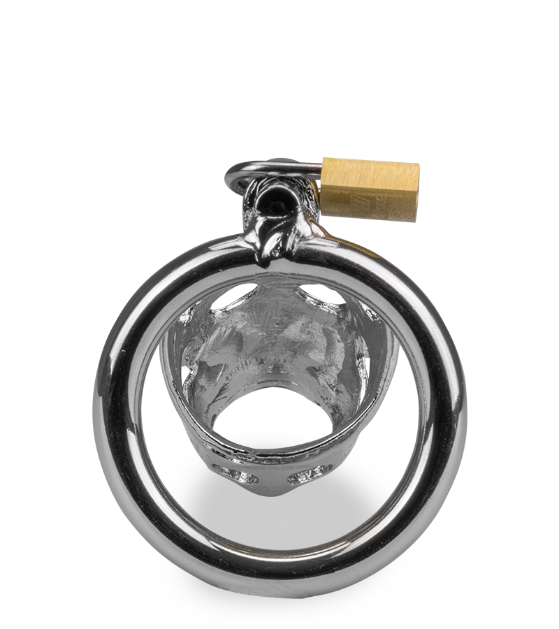 Keuschheitsgürtel mit chinesischem Sternzeichen Schwein