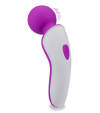 Kleiner Wand Vibrator Passenger