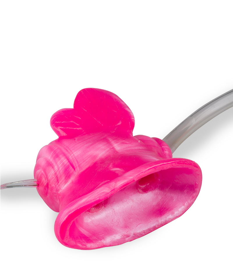 Klitorissauger mit Vibration und Pumpe