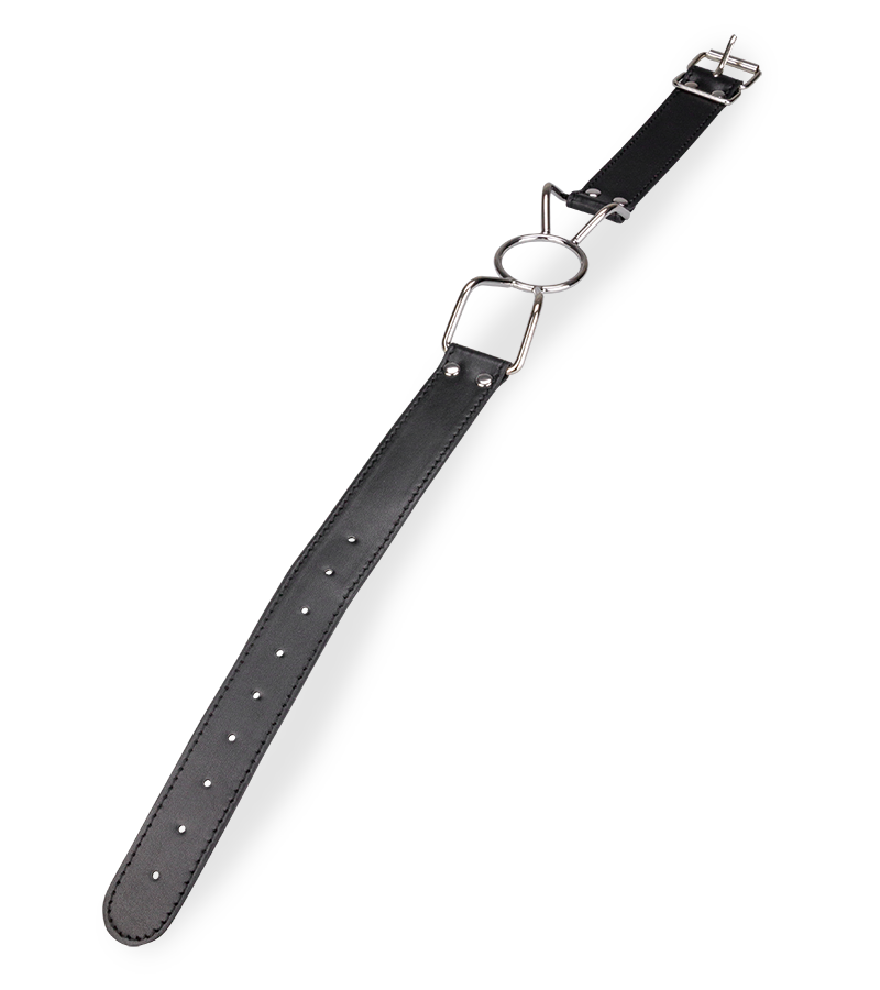 Knebelring und Mundspreizer Spider Bondage