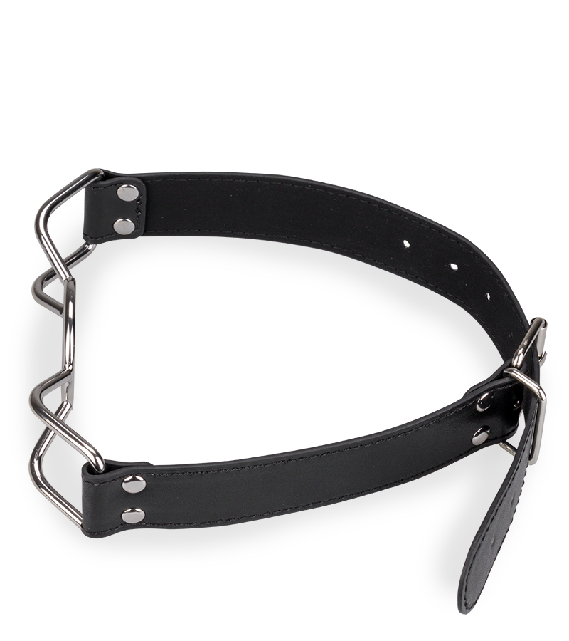 Knebelring und Mundspreizer Spider Bondage