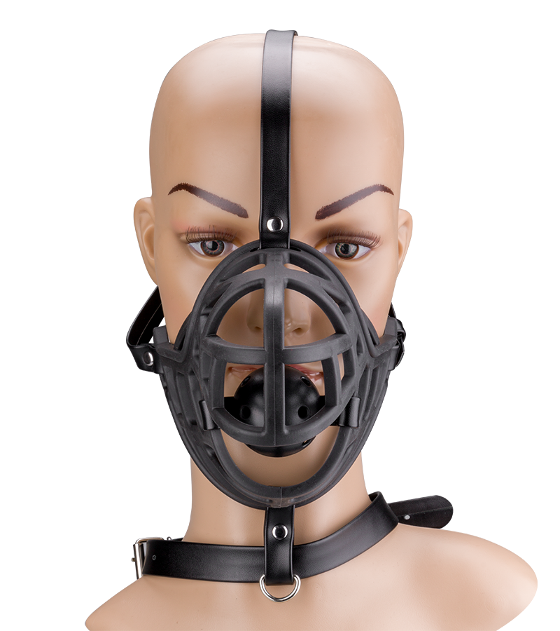 Maulkorb mit abnehmbarem Gagball