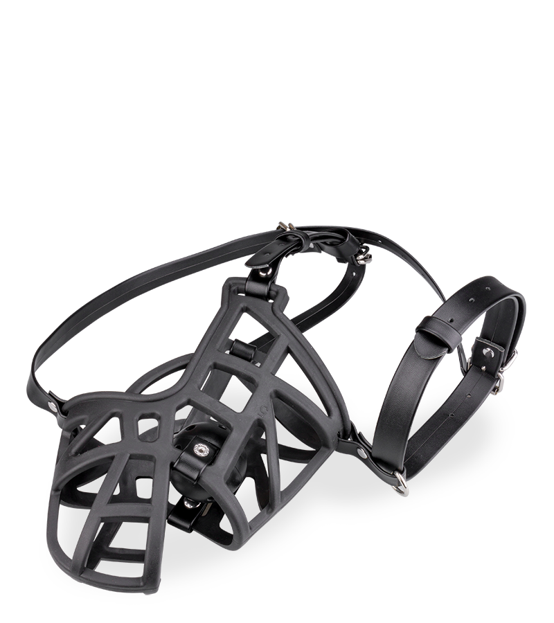 Maulkorb mit abnehmbarem Gagball