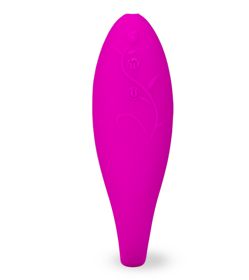 Paar-Vibrator Lov&#039;Inside