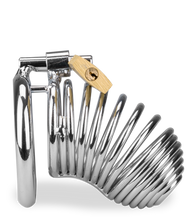 Laden Sie das Bild in den Galerie-Viewer, Penis-Käfig Hell Spiral