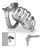 Penis-Käfig mit Harnröhrensonde Verdict