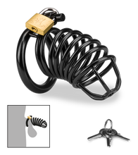 Laden Sie das Bild in den Galerie-Viewer, Peniskäfig Little Prisoner