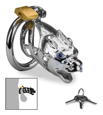 Peniskäfig mit chinesischem Drachen