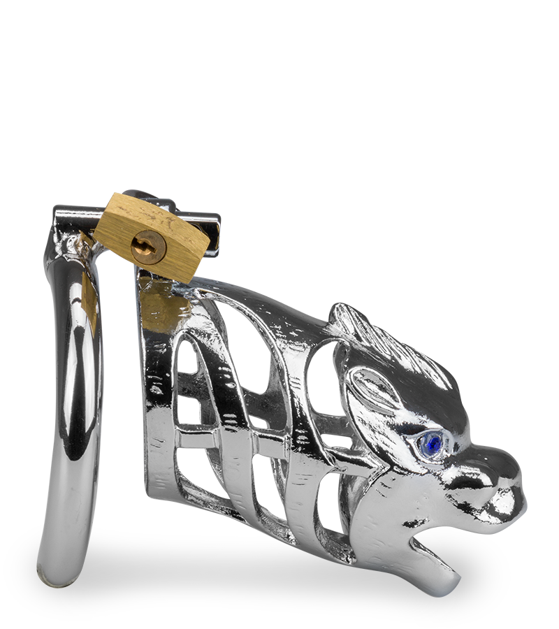 Peniskäfig mit chinesischem Drachen