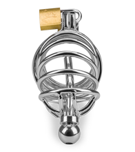 Laden Sie das Bild in den Galerie-Viewer, Peniskäfig mit Harnröhrenplug Delicious Chastity