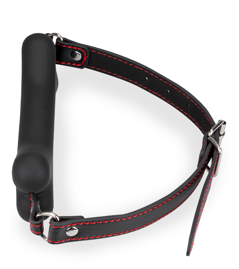 Puppy-Play-Knebel Knochen aus Silikon 15 cm