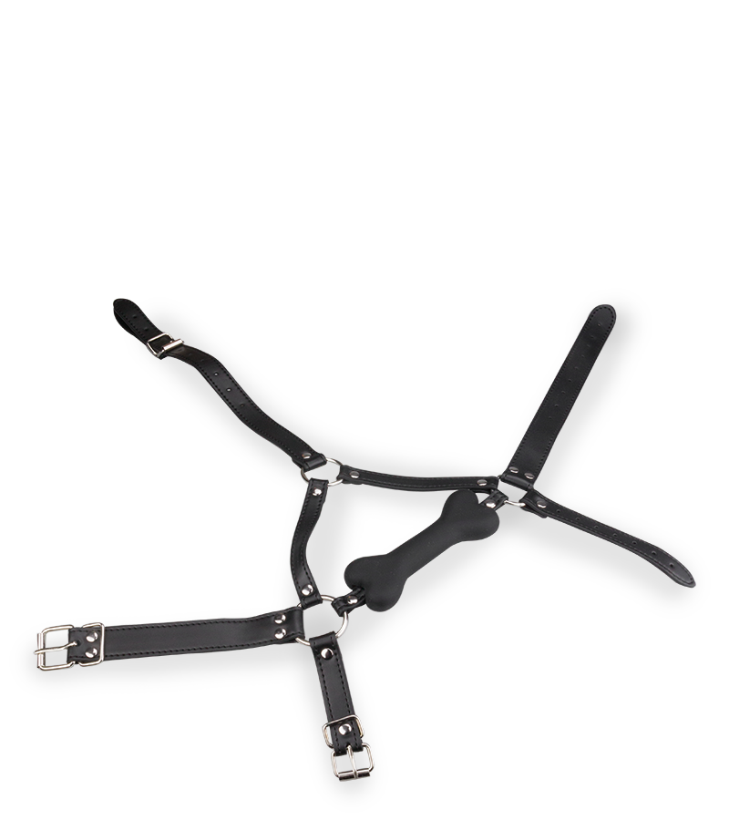 Puppy-Play-Kopfgeschirr mit Knebel aus Silikon 12,3 cm