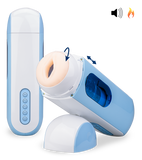 Stoß- und Rotationsmasturbator Cockpit