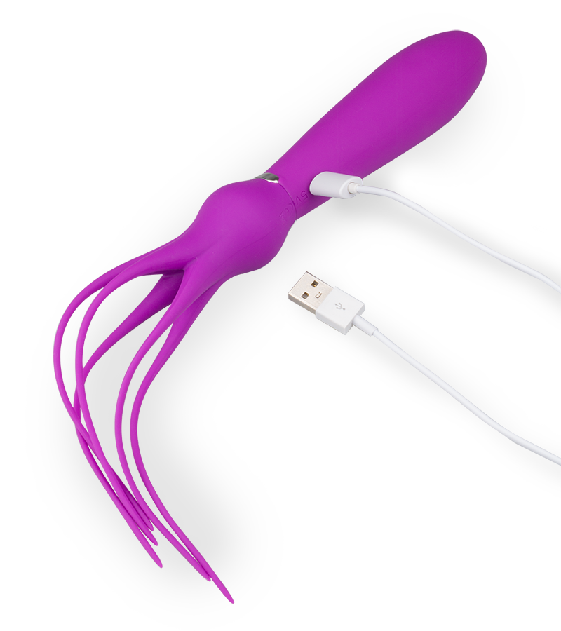 Vibrator mit vibrierenden Bändern